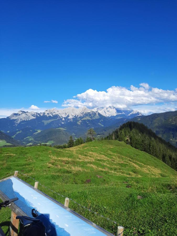 Apartmán Landhaus Theresia Sankt Martin am Tennengebirge Exteriér fotografie