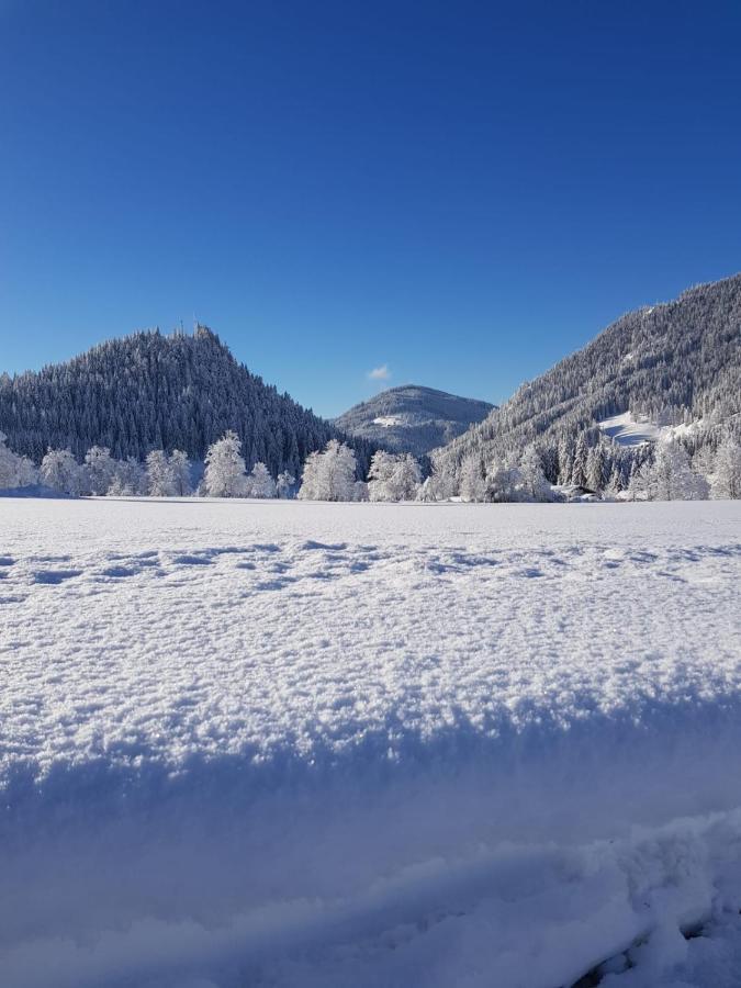 Apartmán Landhaus Theresia Sankt Martin am Tennengebirge Exteriér fotografie